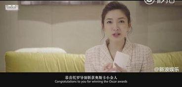 中国明星英语访谈,中国明星访谈录精选