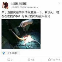 女主播和黄鳝的视频,揭秘网络直播的道德边界